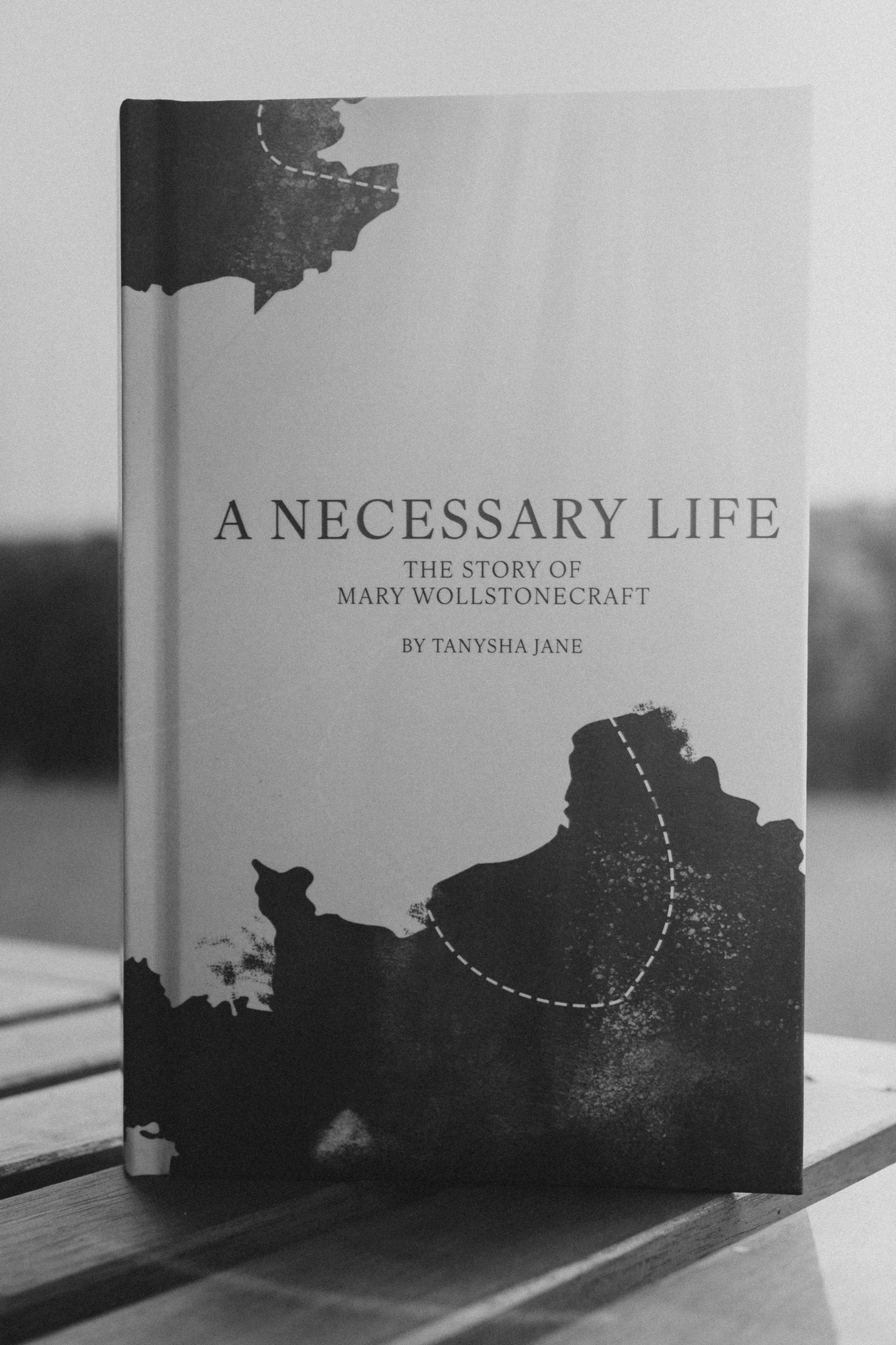 A Necessary Life (Hardback)